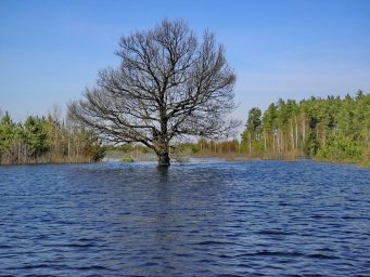 Дальнейшее повышение уровней воды