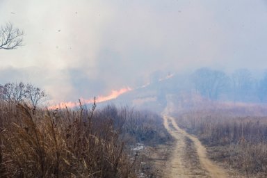 Пожароопасный сезон введен в Томской области