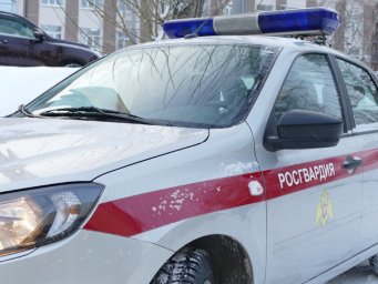 В Колпашево росгвардейцы пресекли угон автомобиля