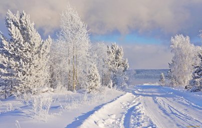 Погода в третьей декаде ноября