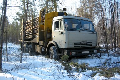 В ходе проведения профилактических мероприятий