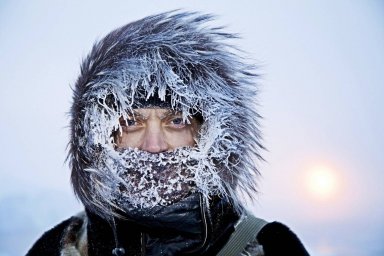 В первой декаде декабря