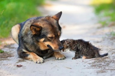 В целях устраненя нарушений