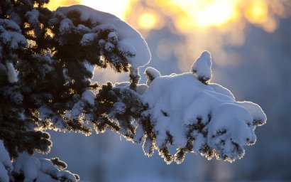 Теплая декада февраля ожидается в Томской области