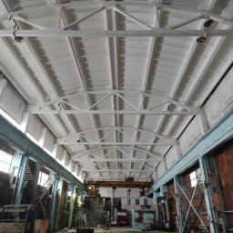 Факты отслоения краски в цехе весенний период